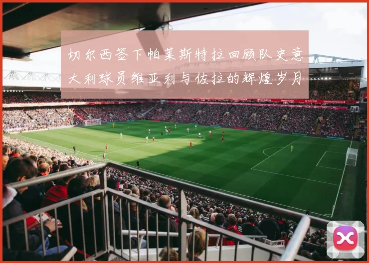 切尔西签下帕莱斯特拉回顾队史意大利球员维亚利与佐拉的辉煌岁月